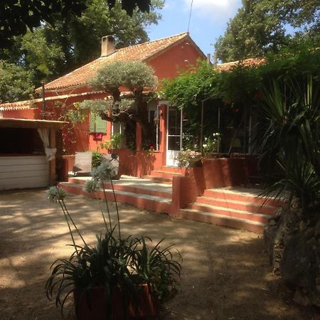 La Meissonniere Saint Tropez Bagian luar foto